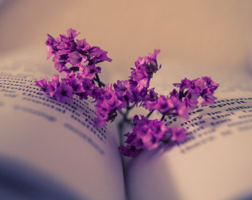 flowersbook.png
