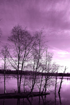 reaching_the_purple_sky_by_rainman65-d30zs37.jpg